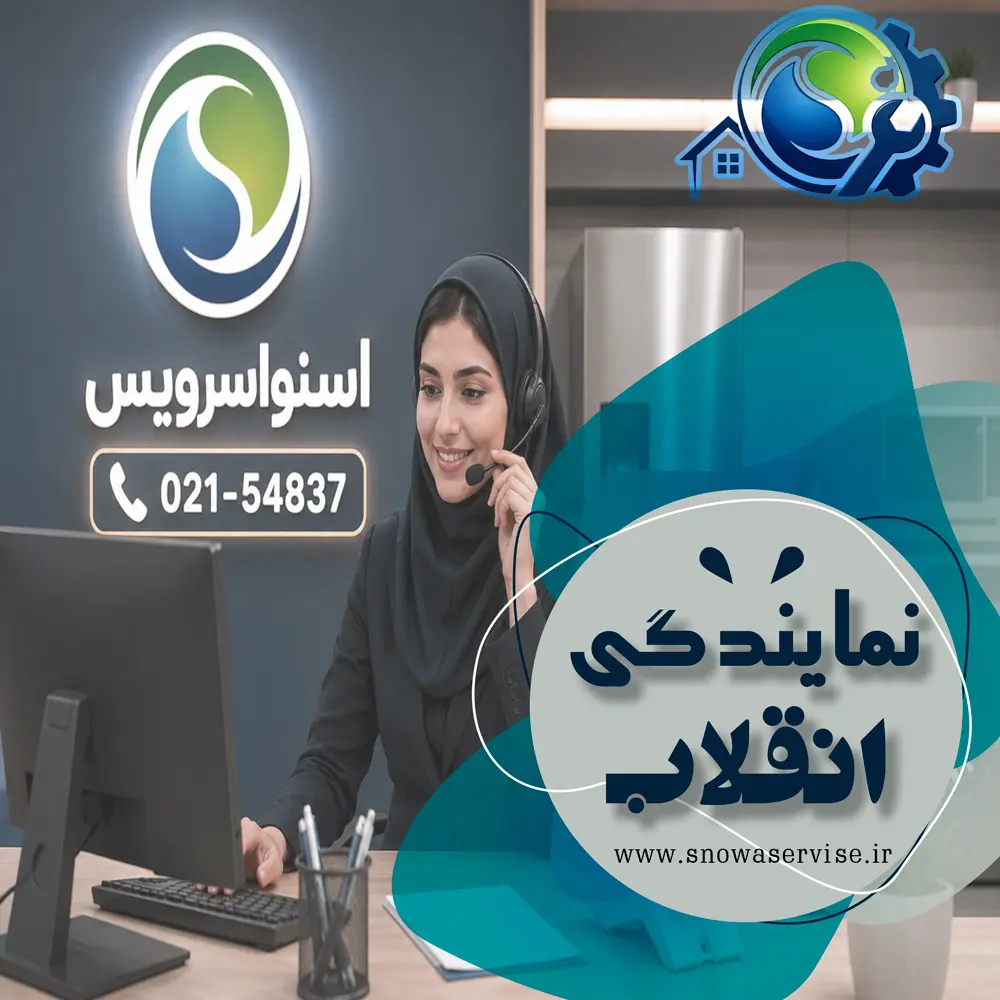 نمایندگی اسنوا در انقلاب