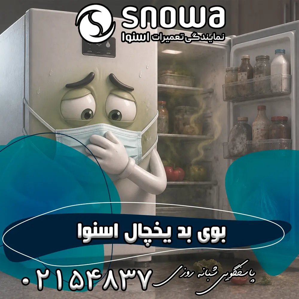 علت بوی بد یخچال اسنوا
