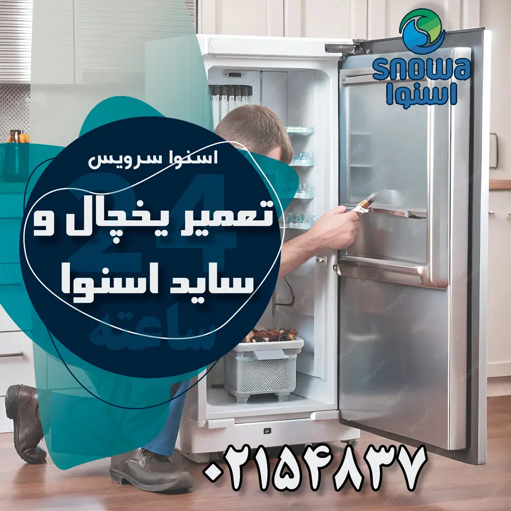 ارورهای یخچال اسنوا